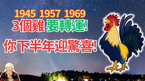 1969年屬雞運勢|【1969 年生肖】1969 年生肖屬雞：2023 年運勢強勁，貴人相助。